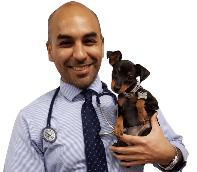 Julio Lopez, DVM